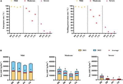 Variety-driven rhizosphere microbiome bestows differential salt tolerance to alfalfa for coping with salinity stress